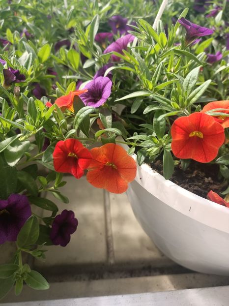 IMG.2025.05.01 - Magazinul 5