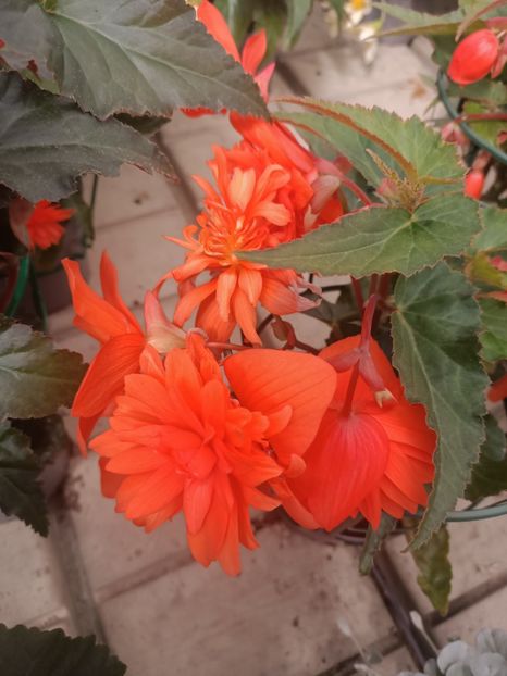 Img.2025.05.01 - Magazinul 5