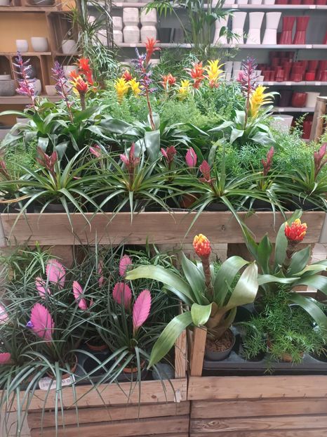 Img.2025.05.01 - Magazinul 5