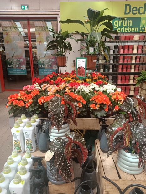 Img.2025.05.01 - Magazinul 5