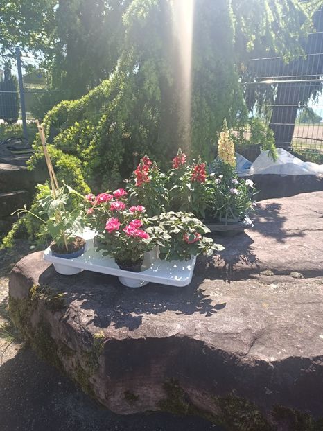 Img.2025.05.01 - Magazinul 5