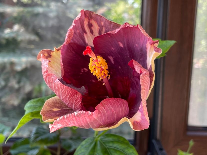  - Luv -Posog- Memories