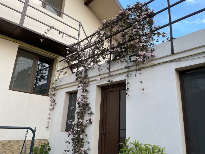  - 0005 - Gradina - 2025