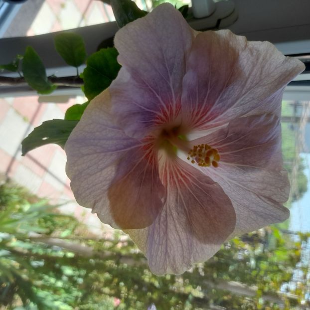  - HD 0971- HD Polar star