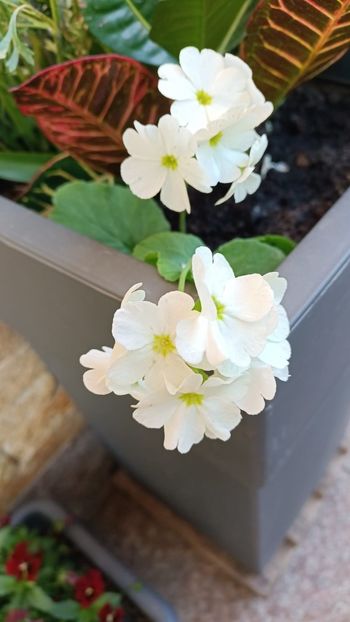 IMG-20250501-WA0011 (1) - 2025