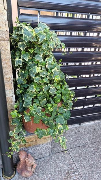 IMG-20250430-WA0004 (1) - 2025