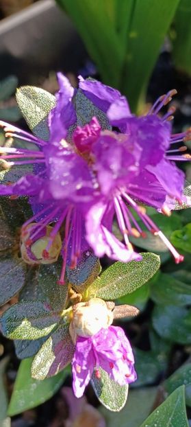 IMG-20250409-WA0022 (1) - 2025