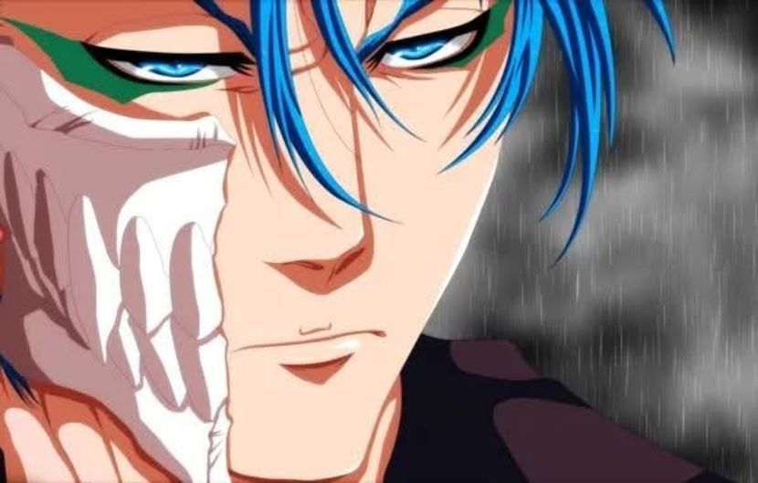  - Grimmjow