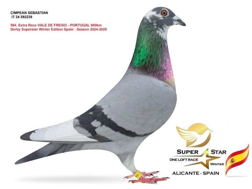 imagine-1746082767-484715 - Super Star Winter 2025