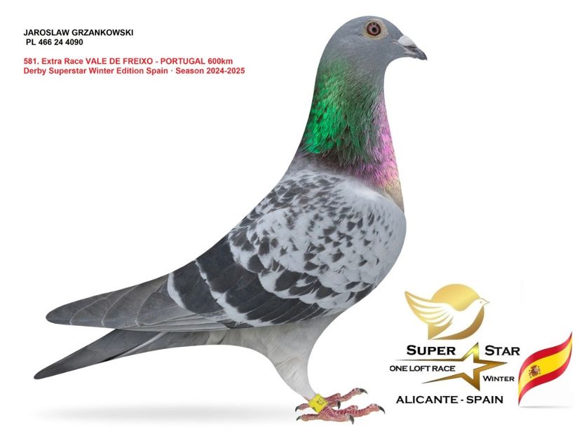 imagine-1746082975-832067 - Super Star Winter 2025