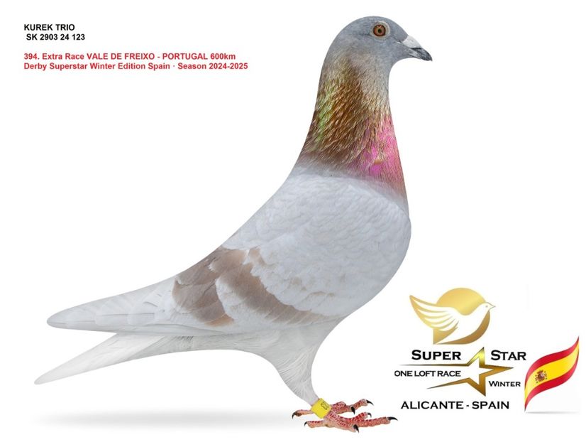 imagine-1746003436-867387 - Super Star Winter 2025