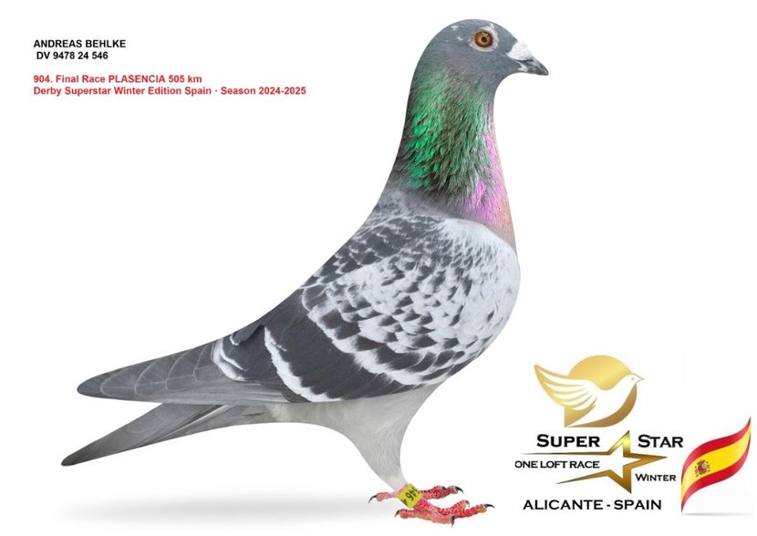 imagine-1744539708-529777 - Super Star Winter 2025