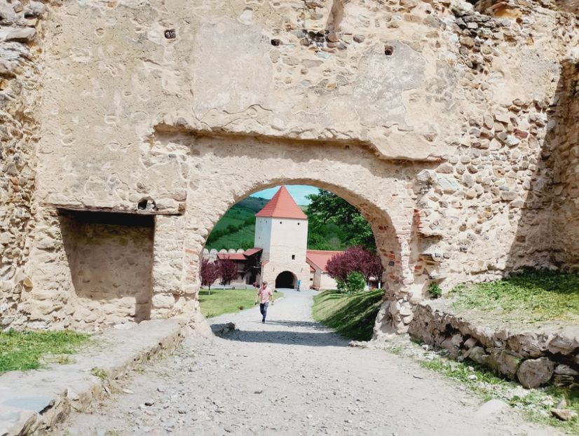  - 2024_2025 școală Ungra și Daisoara