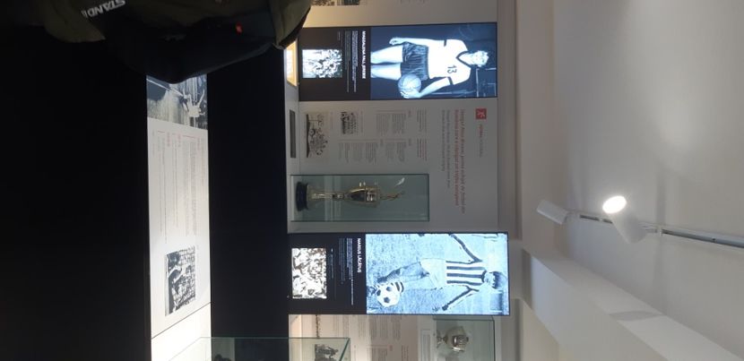  - 2024_2025 școală Ungra și Daisoara