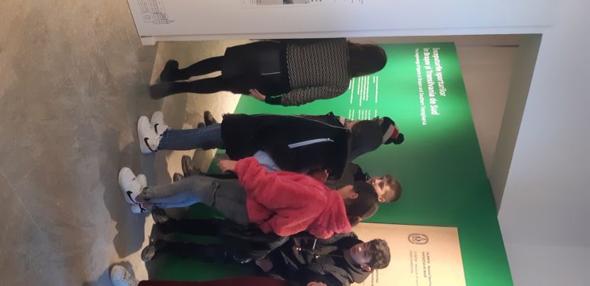  - 2024_2025 școală Ungra și Daisoara