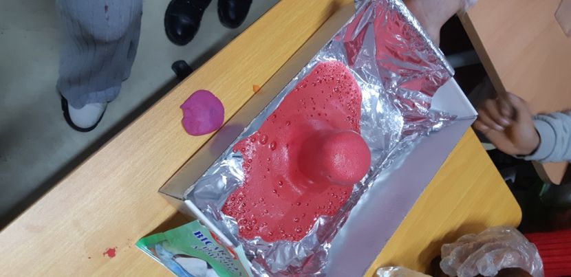  - 2024_2025 școală Ungra și Daisoara