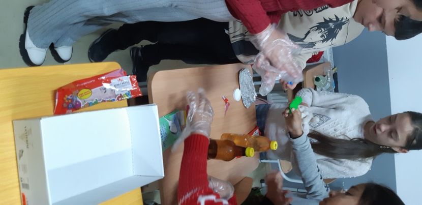  - 2024_2025 școală Ungra și Daisoara