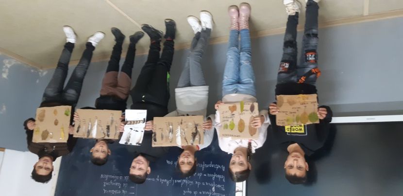  - 2024_2025 școală Ungra și Daisoara