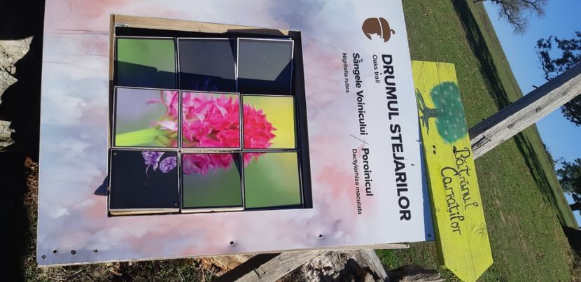  - 2024_2025 școală Ungra și Daisoara