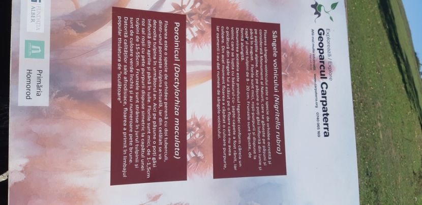  - 2024_2025 școală Ungra și Daisoara