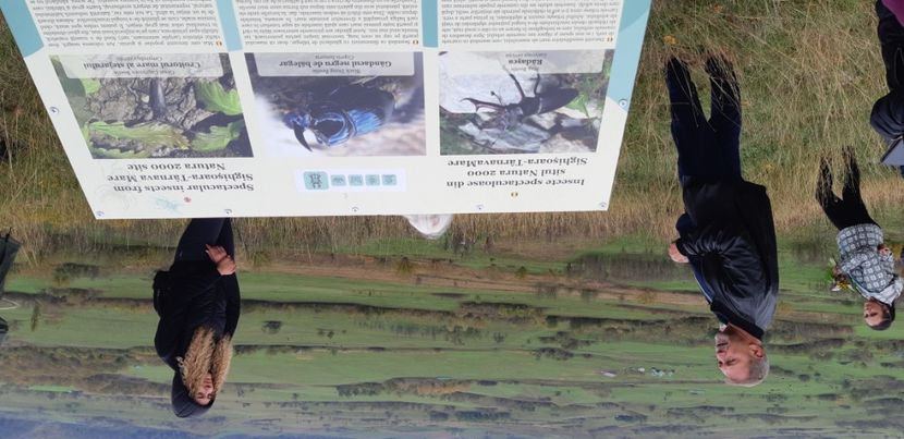  - 2024_2025 școală Ungra și Daisoara