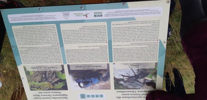  - 2024_2025 școală Ungra și Daisoara