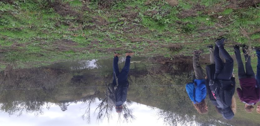  - 2024_2025 școală Ungra și Daisoara