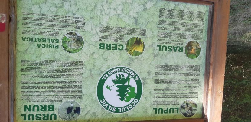  - 2024_2025 școală Ungra și Daisoara