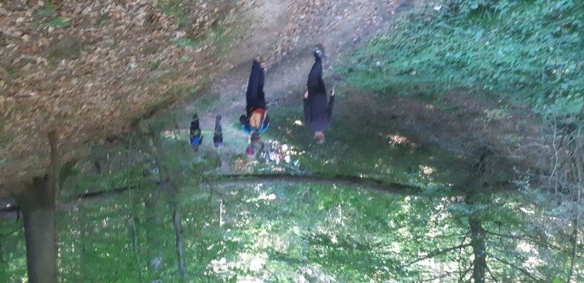  - 2024_2025 școală Ungra și Daisoara