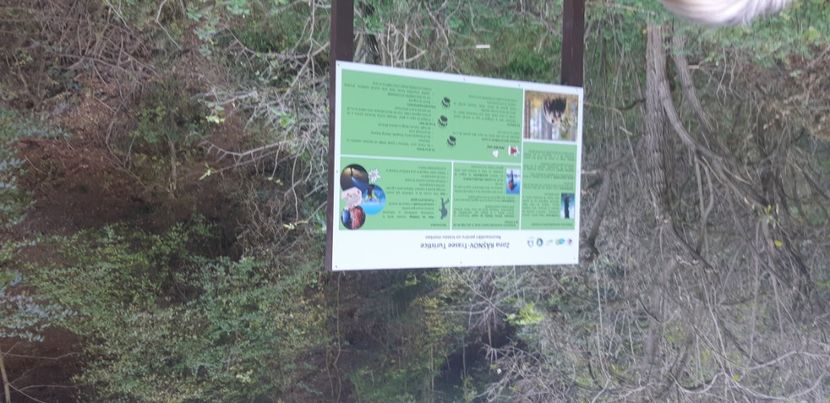  - 2024_2025 școală Ungra și Daisoara