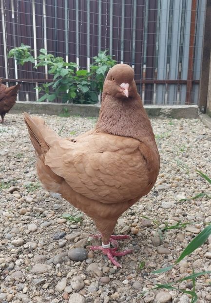 IMG-20250510-WA0012 - Kingi