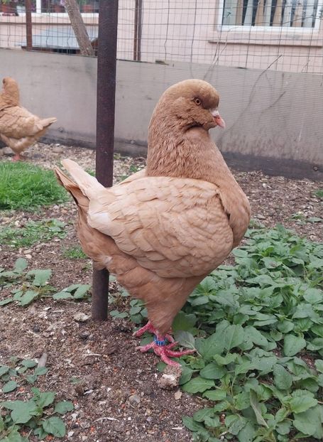 IMG-20250510-WA0000 - Kingi