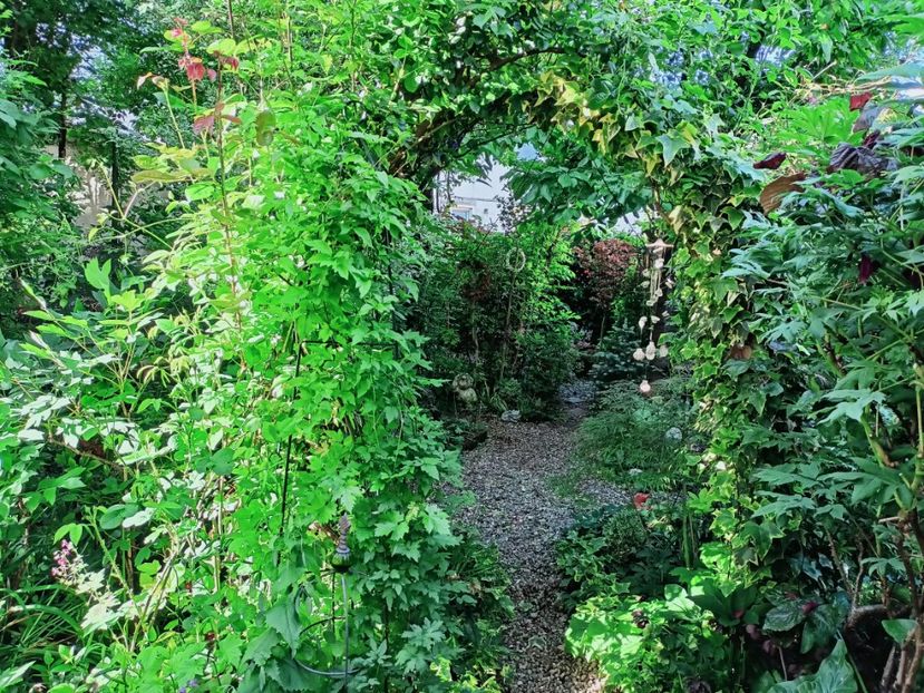  - Grădina 2025 continuare 2