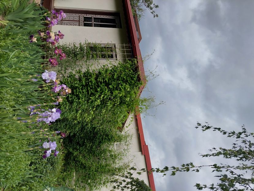  - 2025 mai