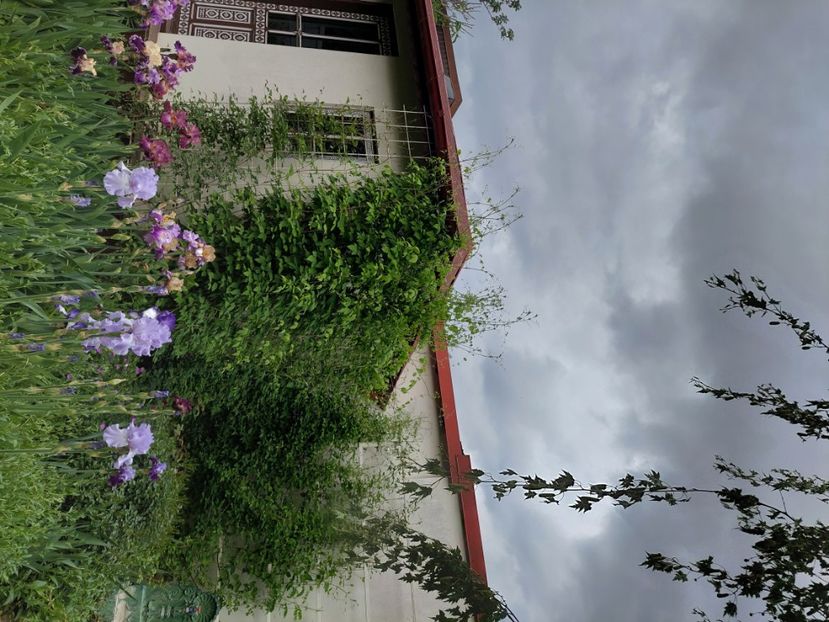  - 2025 mai