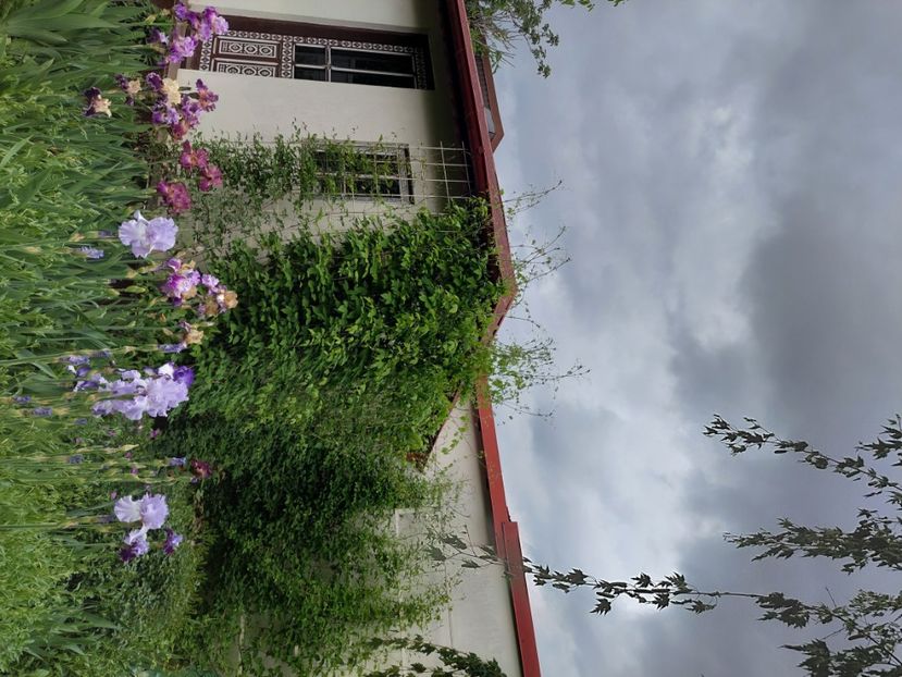  - 2025 mai