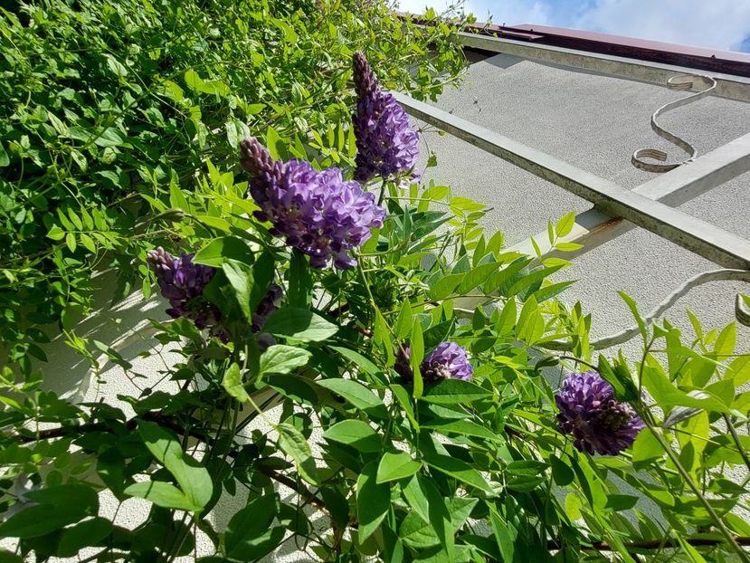  - 2025 mai