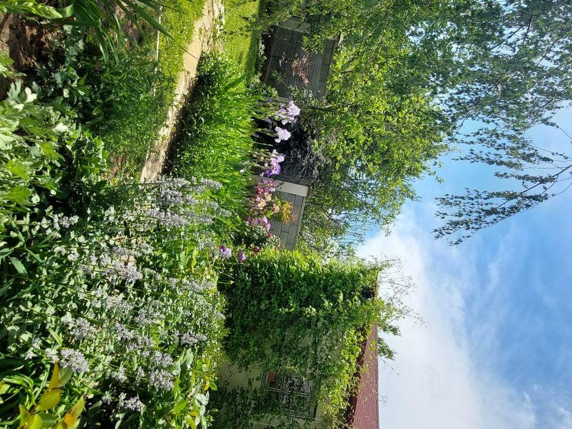  - 2025 mai