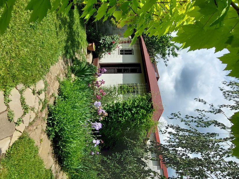  - 2025 mai