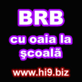 brb - hi9 biz