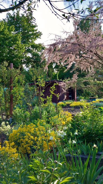  - 2025 - 01 - Primavara