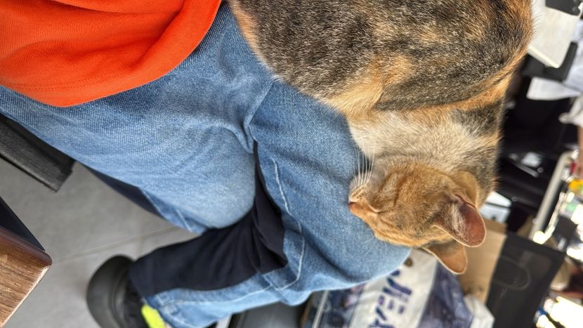 1CBA0FCC-729A-42EA-BBF5-1DDDE0A461F5 - 2025SzegedFriday16May