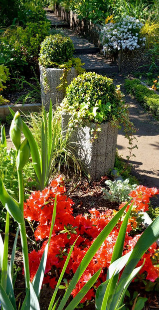  - 2025 - 01 - Primavara