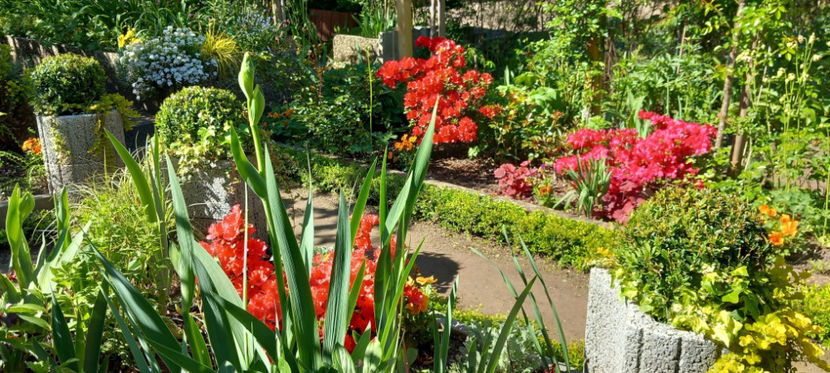  - 2025 - 01 - Primavara