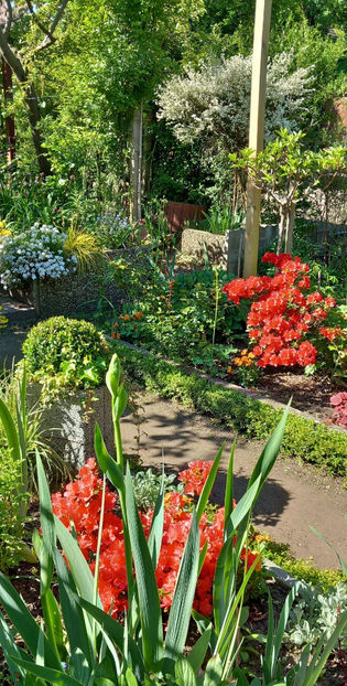  - 2025 - 01 - Primavara