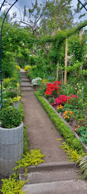  - 2025 - 01 - Primavara