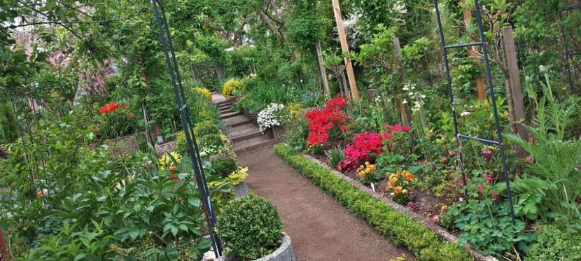  - 2025 - 01 - Primavara