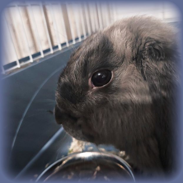 ♡ Day 109 ; 02.03.2025 - Birds of a Feather - STREAK