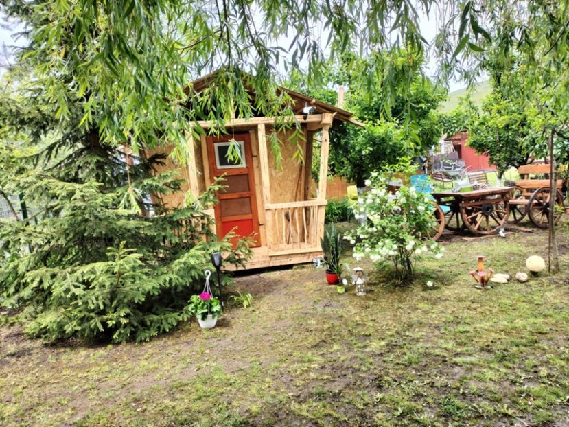 6e982dfb-ecf6-4d75-93bb-fd67692510bf - primavara 2025 la tara