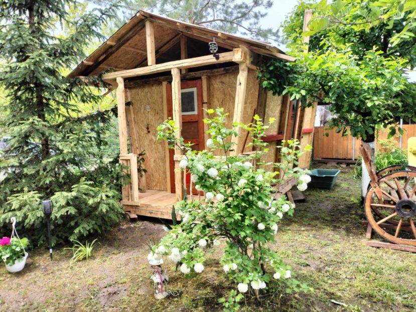 fa304953-fc51-458a-a0df-74eb31cec389 - primavara 2025 la tara